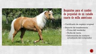 Guía para el Reporte de Transferencia de la AQHA