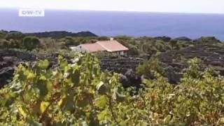 series: The Azores (3) The Volcano | euromaxx