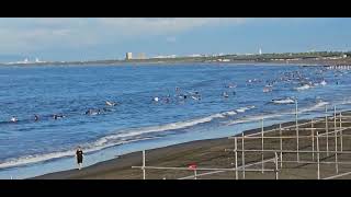 ２０２３年８月１７日（木）江ノ島～鵠沼海岸～富士山：晴れてます。風はやや強めで波はすね～膝くらい。