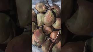 এই বাদাম আমি আগে কখনো দেখেনি ও খায়নি।#new #video #viral