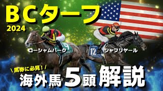 【BCターフ】条件抜群の○○に注目！上位人気海外馬5頭を解説。