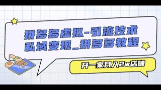 拼多多虚拟 引流技术与私域变现 拼多多教程：开一家月入2w店铺