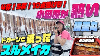 ドカーンと乗った！4杯！5杯！10点掛けも！小田原が熱い！夏スルメがやって来た～！ 小田原勝美丸スルメイカ釣り 小田原にスルメ襲来？ YOKOHAMAする麵CLUBは今回はうなぎ！小田原うなぎ亭 友栄