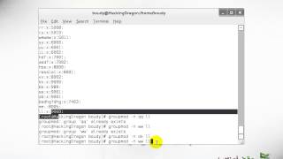Linux Command Line 24 Groups management Part 2