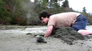 Man Digs Horse Clam with Bare Hands