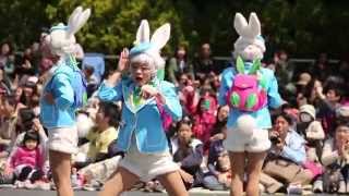 2014/4/12　TDL　ヒッピティ・ホッピティ・スプリングタイム