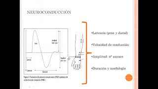 electromiografia y electroneurografia Dra Conti