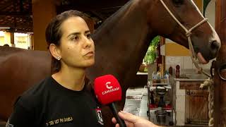 Conheça o Regimento de Cavalaria da Polícia Militar