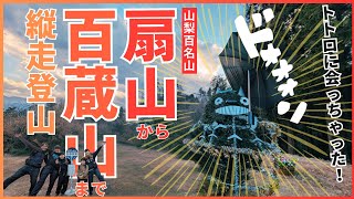 【扇山・百蔵山】登山　梨ノ木平登山口から百蔵山登山口までを縦走！JR中央本線、鳥沢駅から猿橋駅までを歩きます！