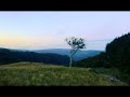 my head is empty - this will destroy me (Troy Howse Remix)