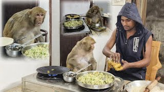 रानी के सामने किसी को खाना देने से रानी कैसे देखती है। Monkey Rani Funny Reaction। @AkashRBL783