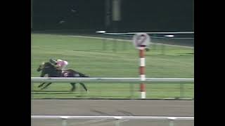 サイレンススズカ 1998年 第34回金鯱賞(GII) (優勝馬：サイレンススズカ)