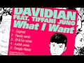 davidian what i want feat. tiffani juno asdek remix