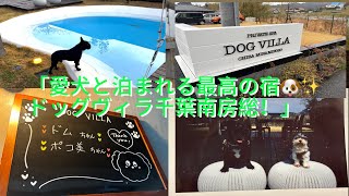 【犬と泊まれる宿】フレブルとドッグヴィラ千葉南房総に宿泊してきた🐶🏡✨
