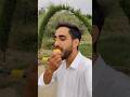 FRUITS GARDEN KASHMIR❤️| #apple #kashmir #srinagar #viral #shorts