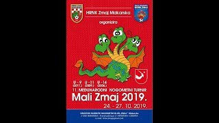 Mali Zmaj 2019