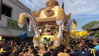 平成30年松原八幡神社本宮（宇佐崎屋台）宮入り