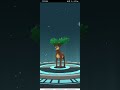 Now I have a Summer Sawsbuck from Deerling - Evolution of Pokemon Go