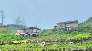 Most Peaceful Nepali Mountain Village Life and Rural Village People Lifestyle in Rain