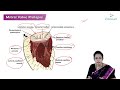 Mitral Valve Prolapse (Hindi) : Etiology, Clinical Features, Diagnosis, Treatment, Complications 🫀🫀🫀