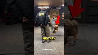 Military Dog Shows his Skills 🤯