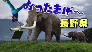 デカイ生物ばかり長野がやべー！【野尻湖】【ナウマンゾウ博物館】