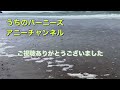 お散歩　渥美半島　chapter 1 太平洋ロングビーチ　サーフィンのメッカ　2022.4.30.