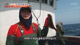 그물에서 가자미가 비처럼 내려온다! [뉴 코리아 헌터] 48회 20170501