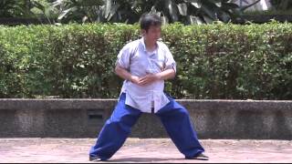 Chen Taiji Second Form: Cannon Fist