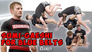 All BJJ Blue Belts Should Know This Attack from Guard | Nicky Ryan B-Team Techni