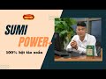 [TẢO XOẮN SPIRULINA ĐẠI VIỆT] - Sumi Power+ - Tảo viên với 100% bột tảo xoắn