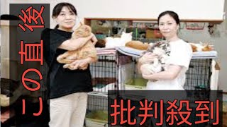 “多頭飼育崩壊”で脱走した野犬が養鶏場の鶏を襲い208羽が死ぬ　野犬を取り押さえた男性は腕を噛まれてけが