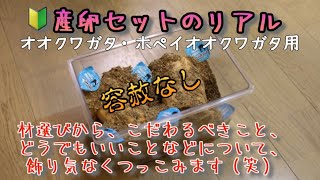 🔰産卵セットのリアル【オオクワガタ・ホペイオオクワガタ用】こだわるべきことについて容赦なく突っ込みます！