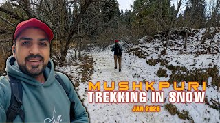 SOLO TREKKING IN SNOW - MUSHKPURI PEAK IN JAN 2025