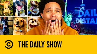 Trevor Noah's Most Hilarious Animal Stories | The Daily Show With Trevor Noah