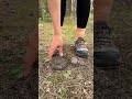 shock 😱 girl uses cow poop 🐄💩 camping survival bushcraft outdoors lifehack