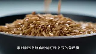 素时刻五谷膳食粉，健康饮食的明智之选