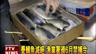 鯖魚禁捕令頒佈 價格恐漲1成－民視新聞