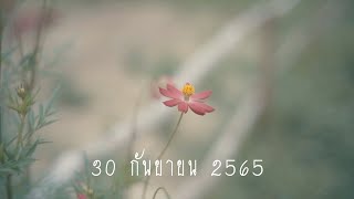 VTR งานเกษียณ 2565 (ครูดรุณี ครูวรรณี และครูสมพิศ)