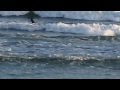 surfing france rare waves