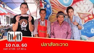 ขั้นตอนการล้างกลิ่นคาวปลา (10 ก.ย. 60)