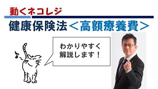 「動くネコレジ」健康保険法＜高額療養費＞無料おためし動画　澤井清治講師