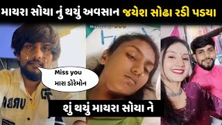 mayra soya news || mayra soya today news || jayesh sodha