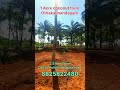 1 acre coconut farm for sale in othakalmandapam 2.5 kms cbe to pollachi bypass road 1acre shorts