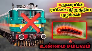 🔺 மதுரை சோழவந்தானில் ரயிலை நிறுத்திய புழுக்கள் || Madurai || Train || Caterpillar || Facts || Story