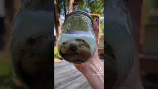 How to clean rocks pt. 2