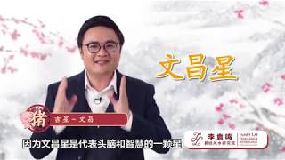 2020年十二生肖运程-【猪】【李袁鸣】JAMES LAI