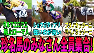 【競馬の反応集】「ここは珍名馬が集まる会です」に対する視聴者の反応集