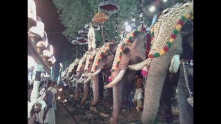 Aarattupuzha Tharakkal Pooram 2