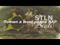 Toman & lesní panna [STLN Beats] feat. František Ladislav Čelakovský